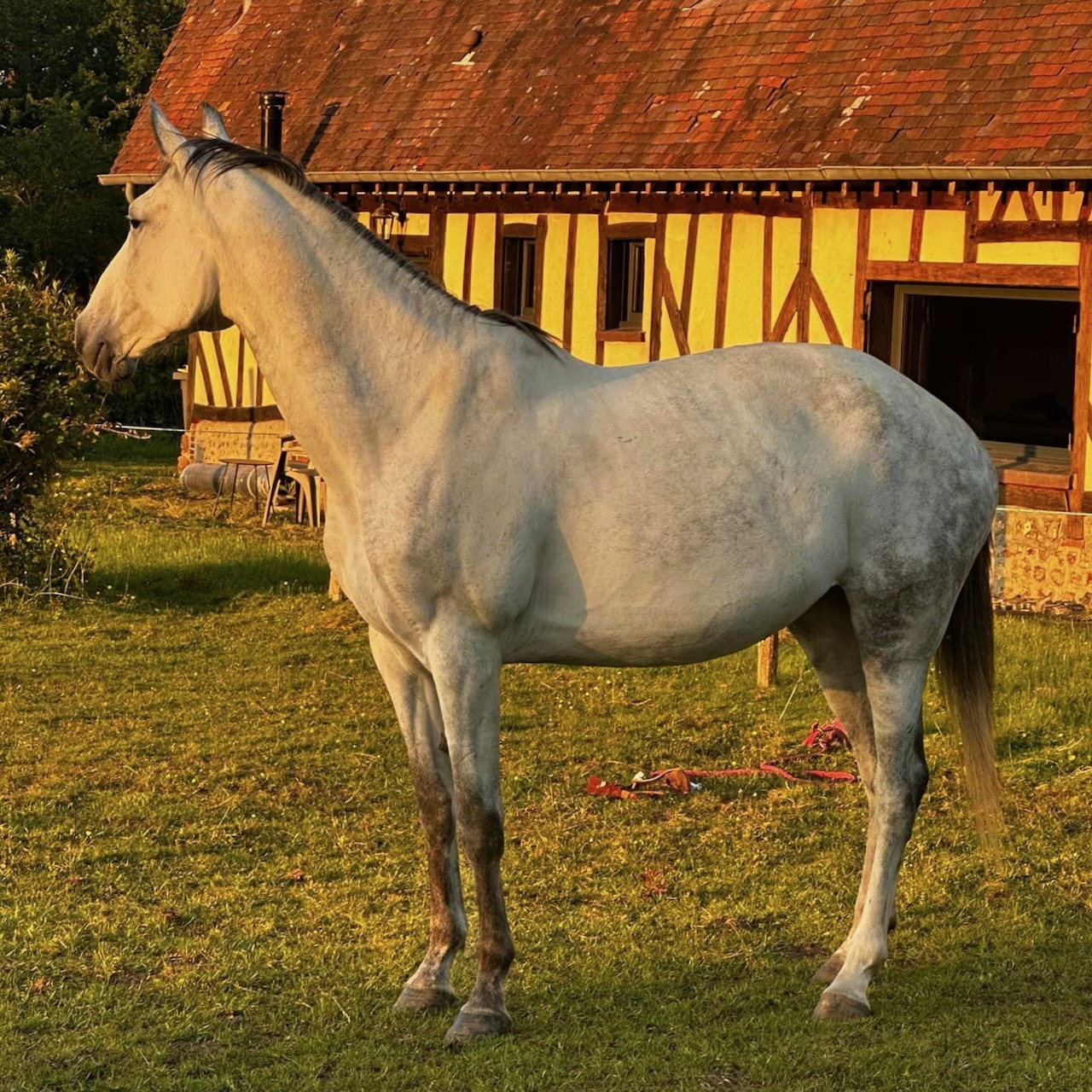 Baila de la Maillardière 